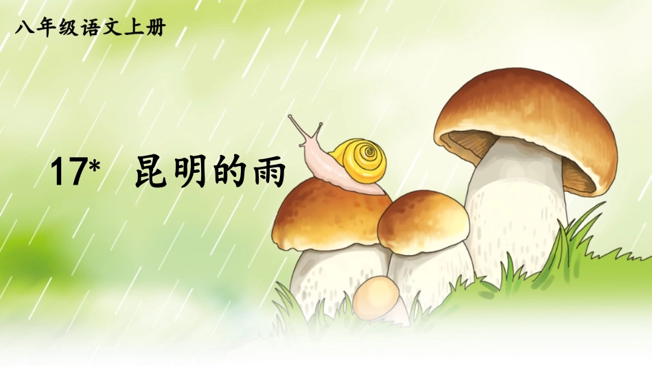 17 昆明的雨【教案匹配版】推荐❤.ppt_第2页