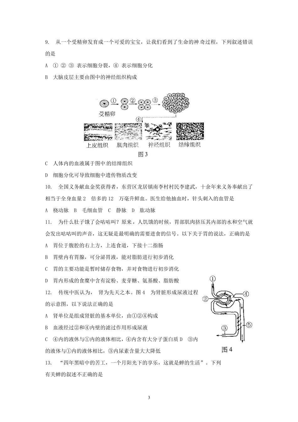 2013年山东省东营市中考生物试题(word版含答案).pdf_第3页