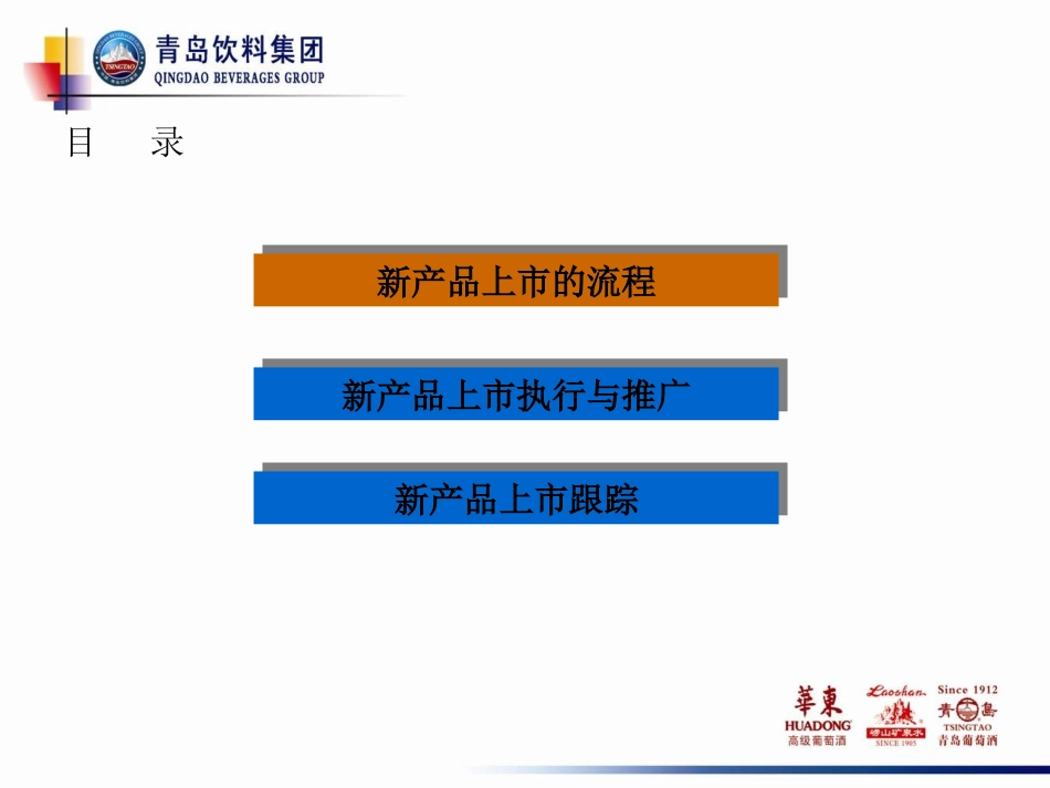 新产品推广策划书.ppt_第2页