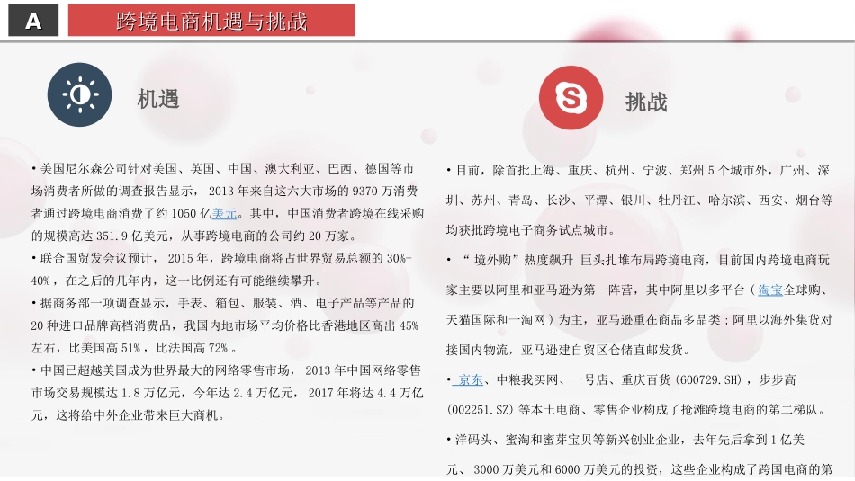 跨境电商运营方案.ppt_第3页