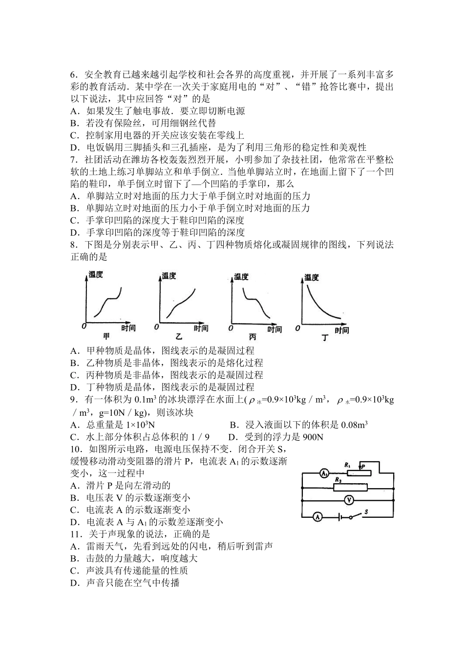 2011年山东潍坊市中考物理真word版含答案.pdf_第2页
