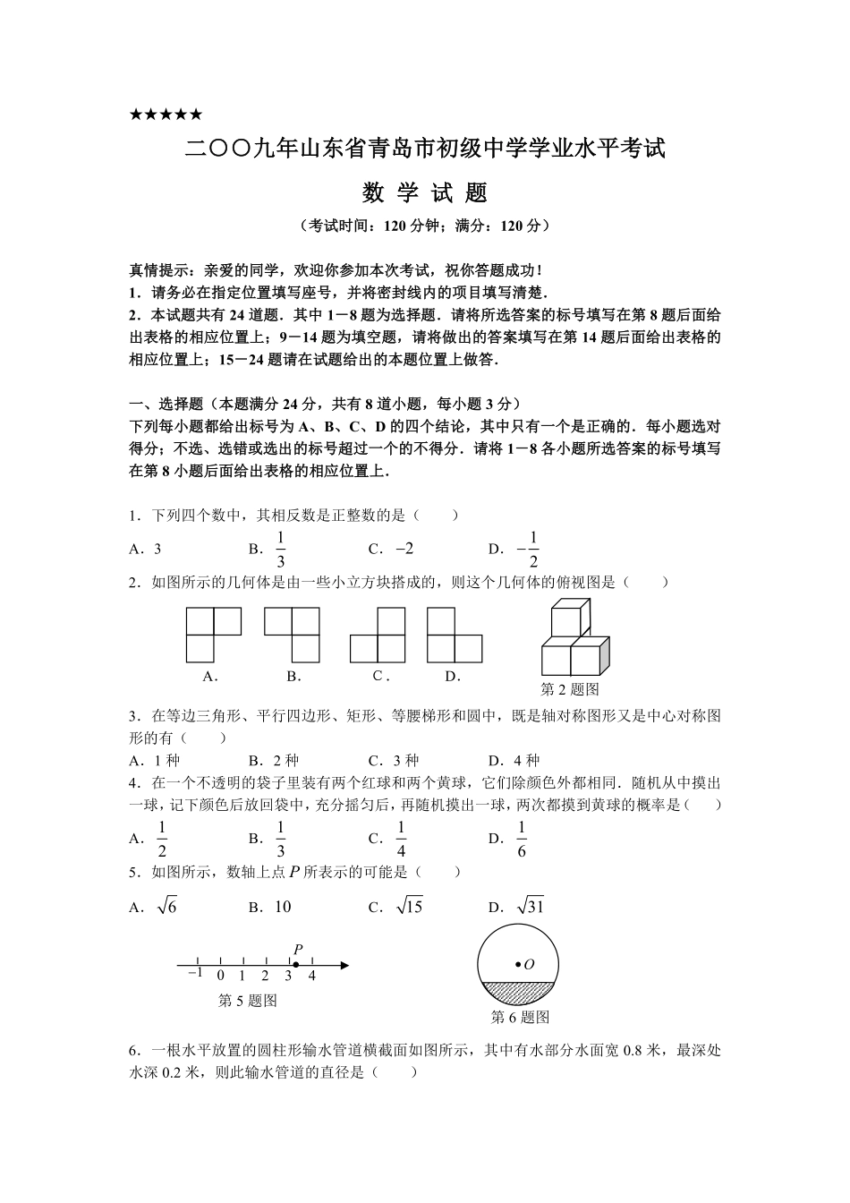 2009年青岛市中考数学试题及答案.pdf_第1页