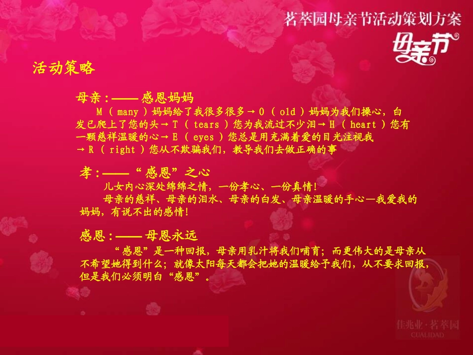 茗翠园母亲节活动策划方案.ppt_第3页