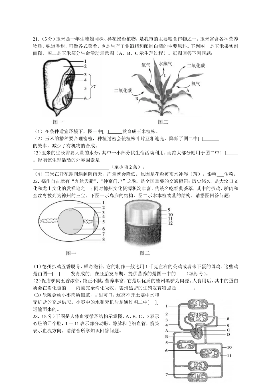 2017年德州市中考生物试题及答案.doc_第3页