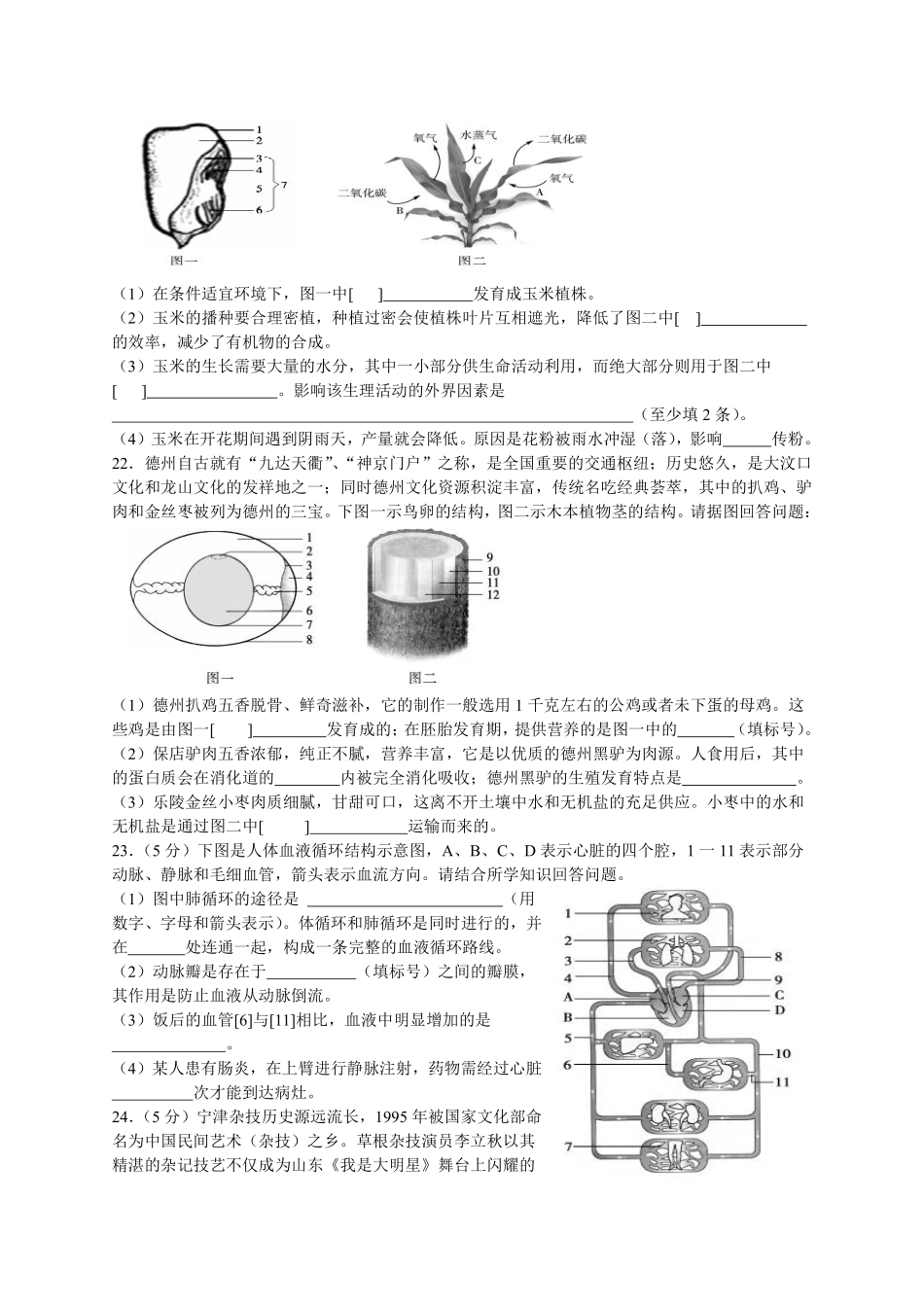 2017年德州市中考生物试题及答案.pdf_第3页