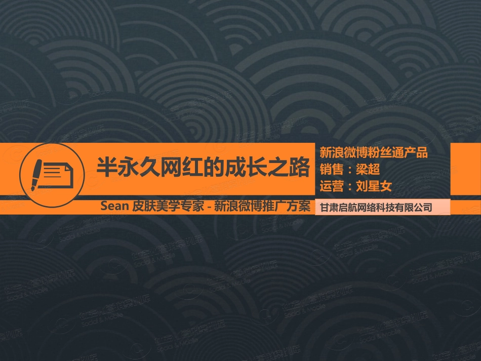 半永久网红的成长之路-Sean皮肤美学专家微博推广案列.pdf_第1页