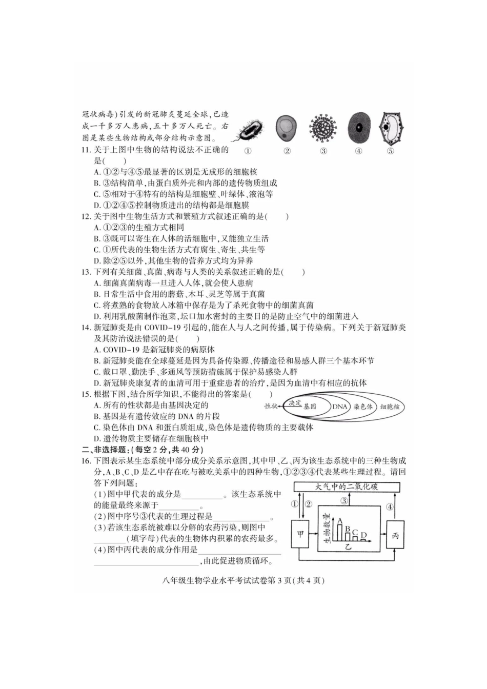 2020年四川南充中考生物真题及答案.pdf_第3页