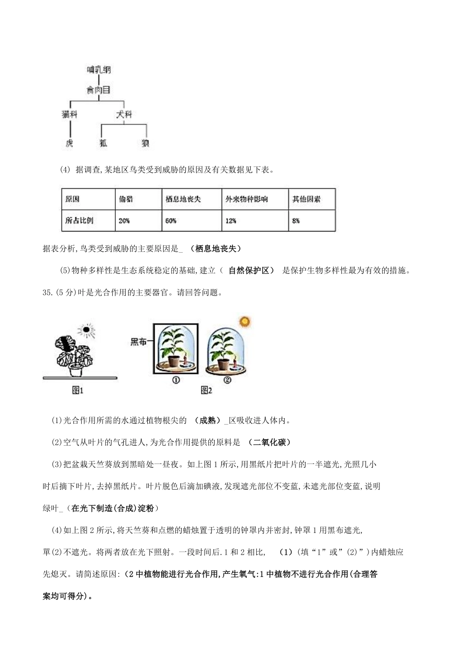 2019生物答案.pdf_第3页