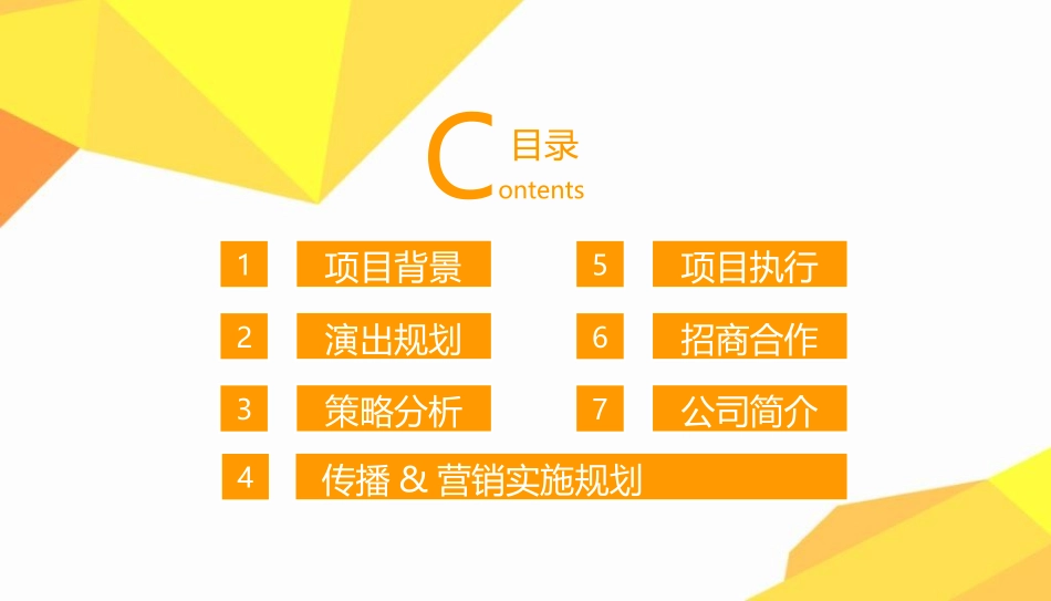 演唱会活动方案.ppt_第2页