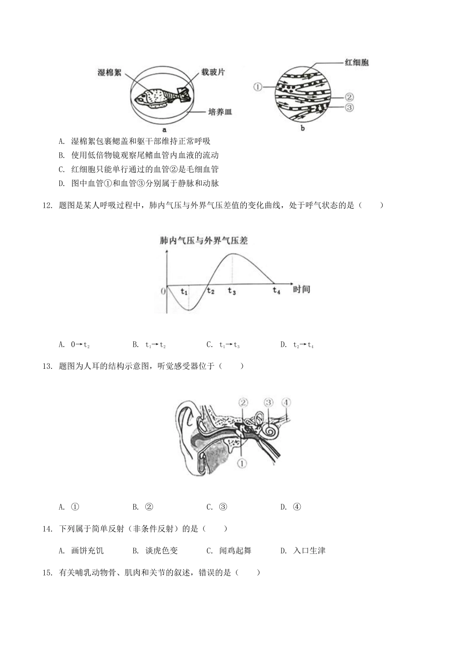 2019年广东省中考生物真题及答案.pdf_第3页