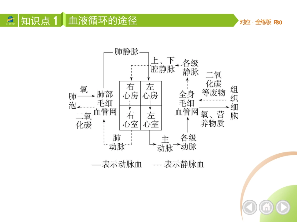 【七年级下册生物济南版】第三章 人体内的物质运输-全解版：第三节 物质运输的途径.pptx_第3页