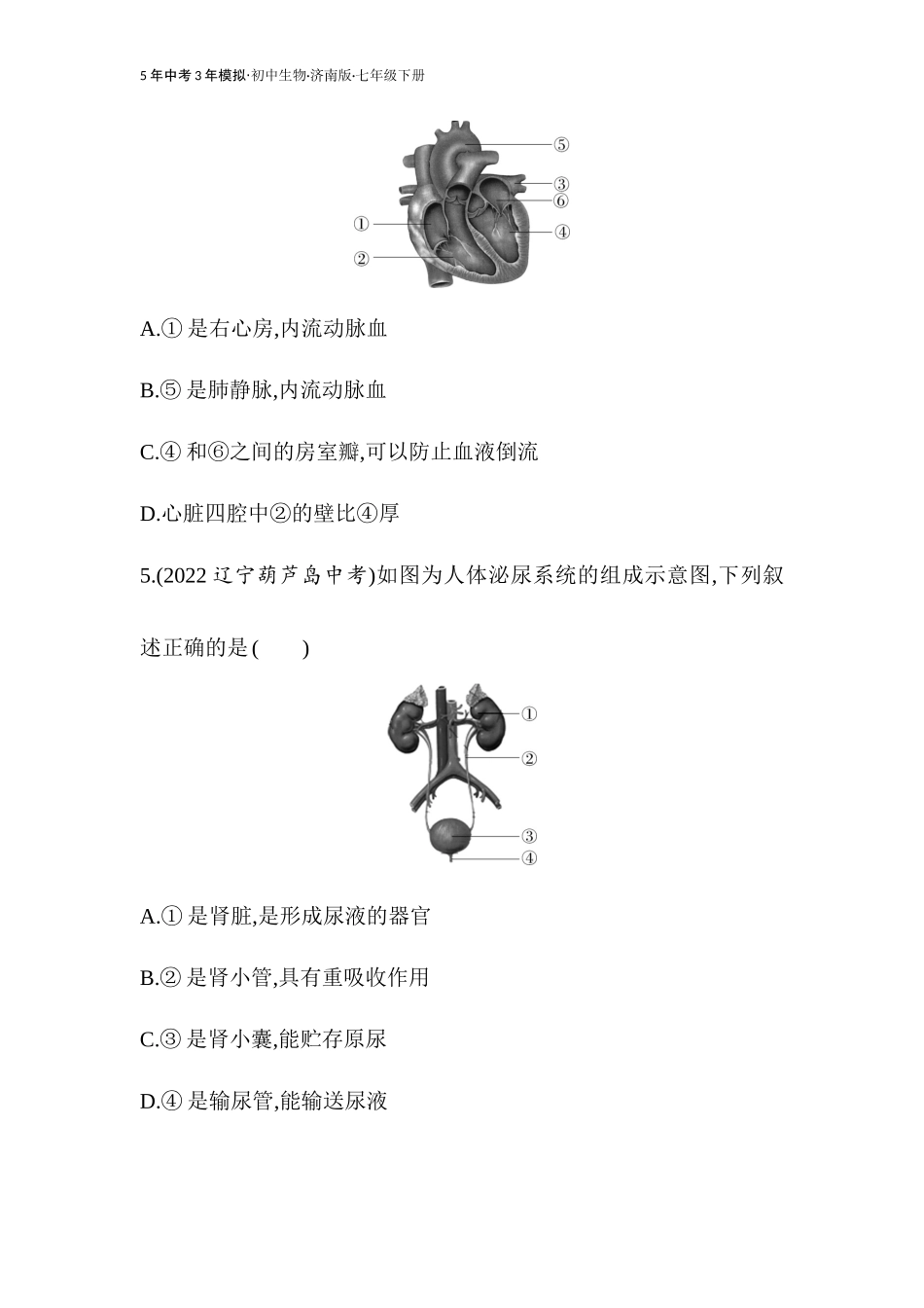 【七年级下册生物济南版】-专项素养综合全练(五).docx_第3页