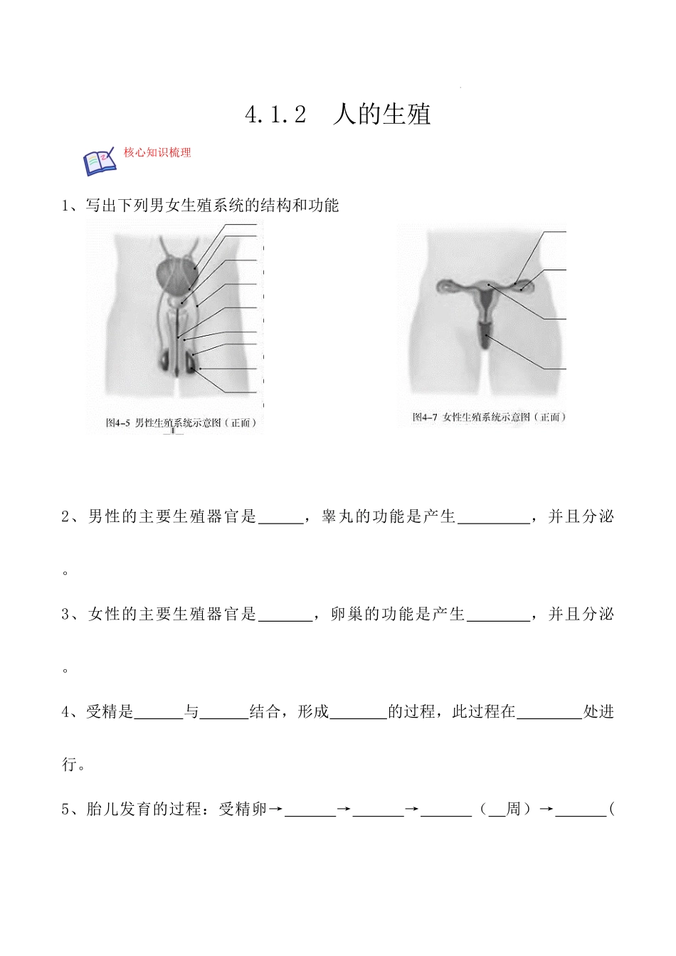 【七年级下册生物人教版】4.1.2 人的生殖（原卷版）.docx_第1页