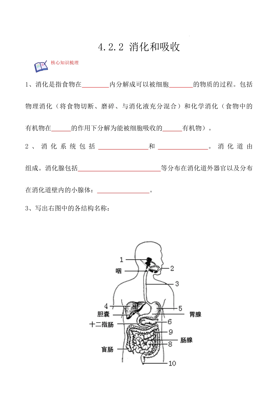 【七年级下册生物人教版】4.2.2 消化和吸收（原卷版）.docx_第1页