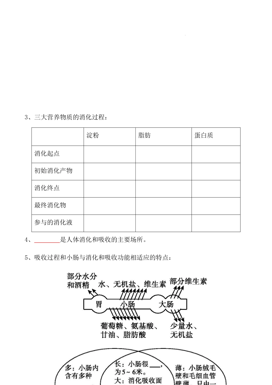 【七年级下册生物人教版】4.2.2 消化和吸收（原卷版）.docx_第2页