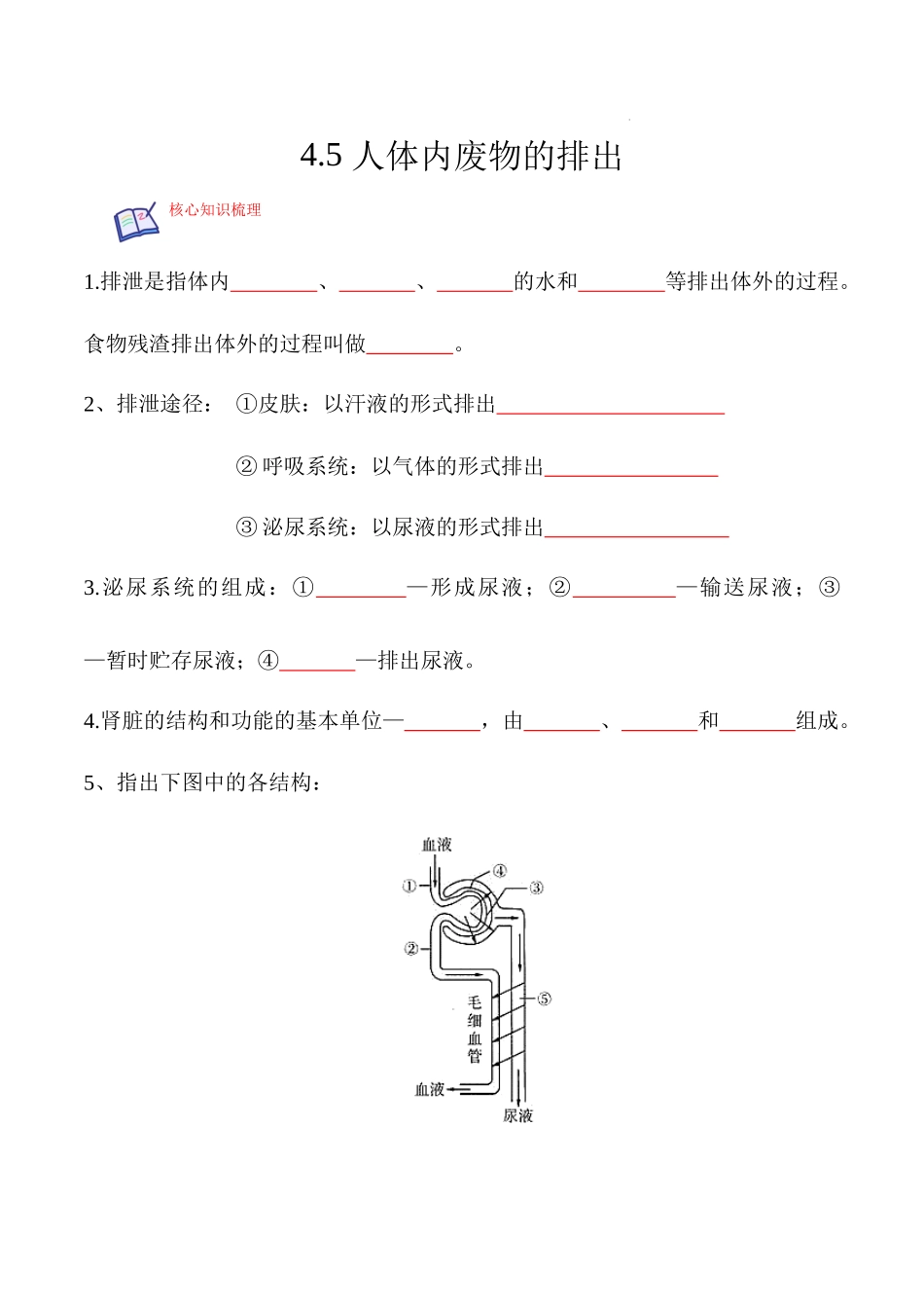 【七年级下册生物人教版】4.5 人体内废物的排出-（原卷版+解析版）.docx_第1页