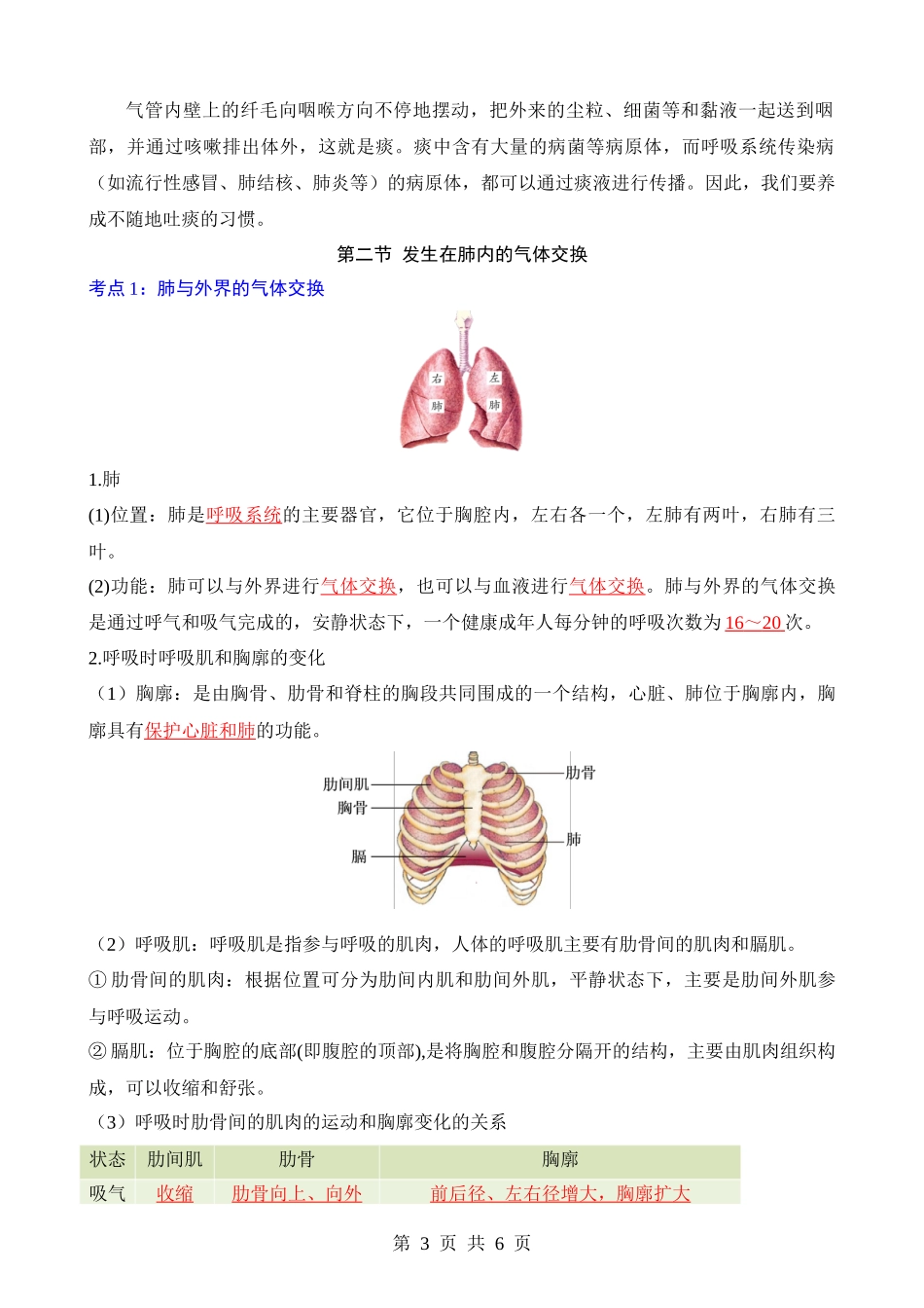 【七年级下册生物人教版】背诵-第四单元 第三章 人体的呼吸.docx_第3页