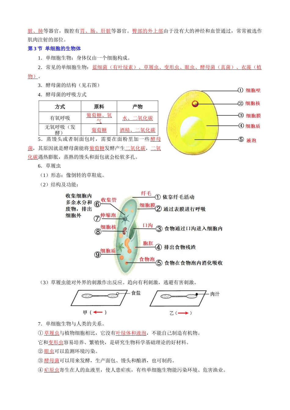 【七年级下册生物苏科版】第9章 生物体有相似的结构层次.docx_第2页