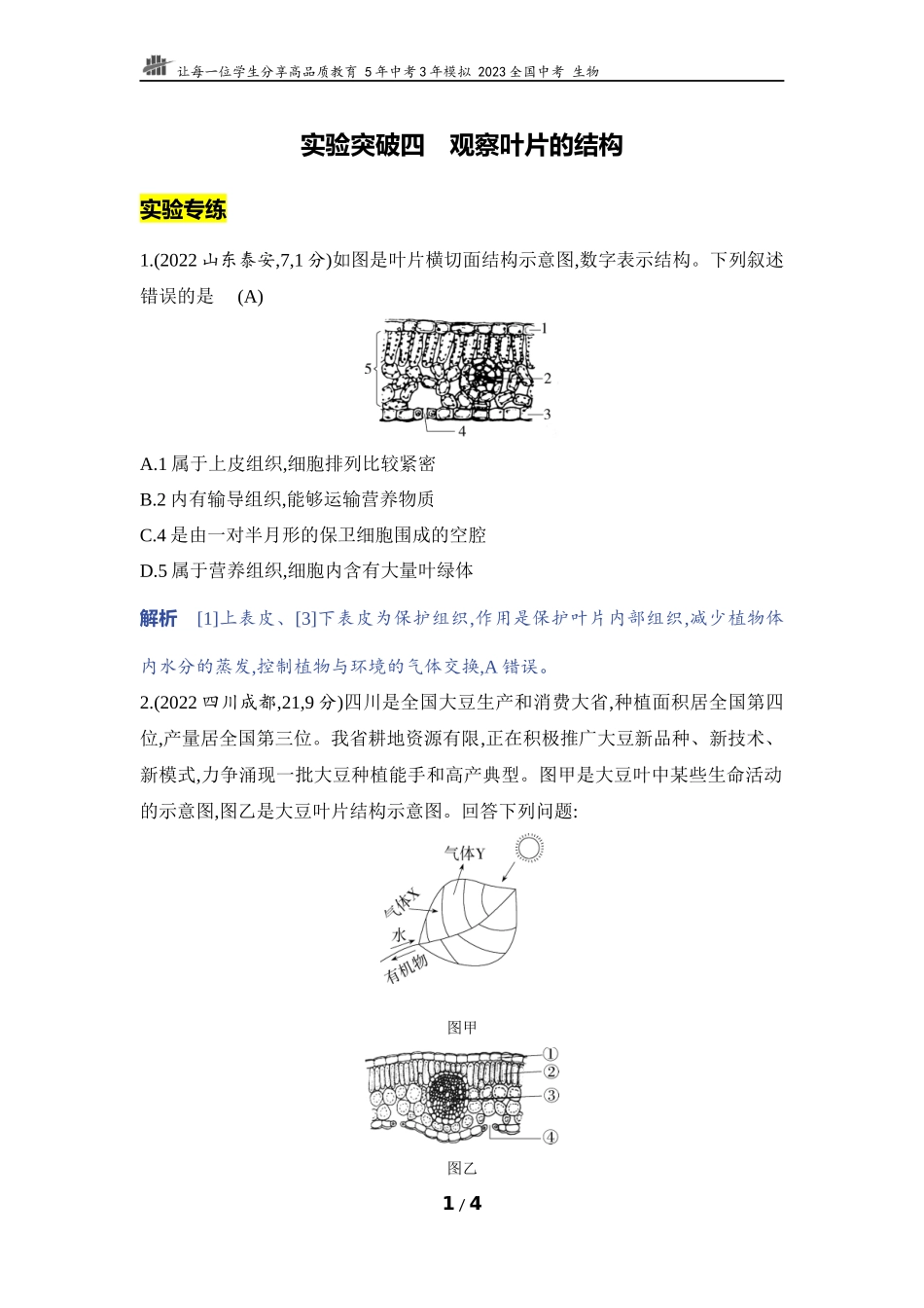 【中考生物】实验突破四　观察叶片的结构.docx_第1页