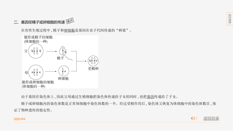 【中考生物】主题六　遗传与进化 专题2　遗传和变异.pptx_第3页