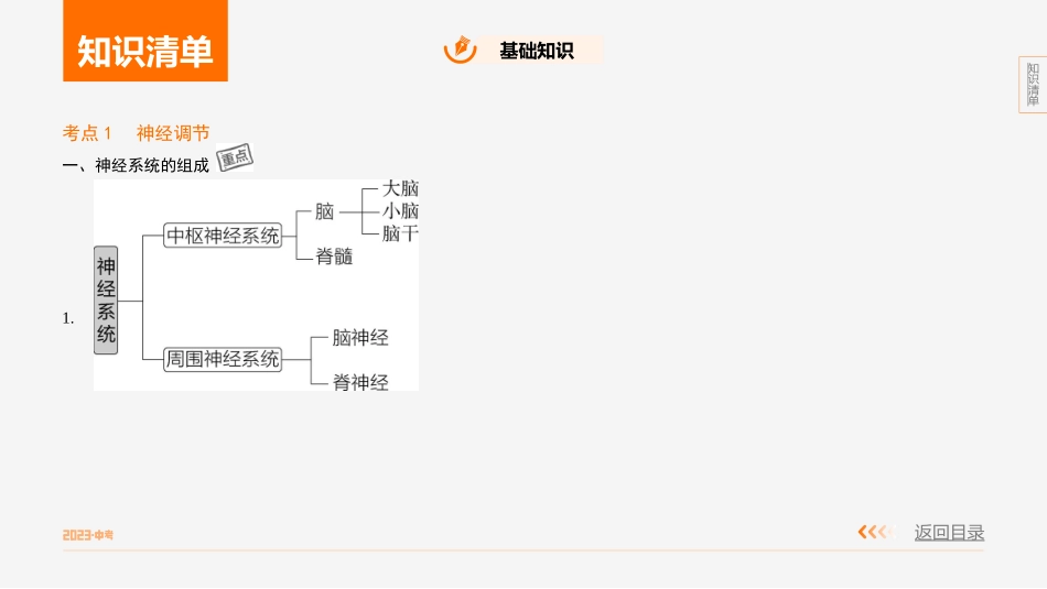 【中考生物】主题五　人体生理与健康 专题2　人体生命活动的调节.pptx_第2页