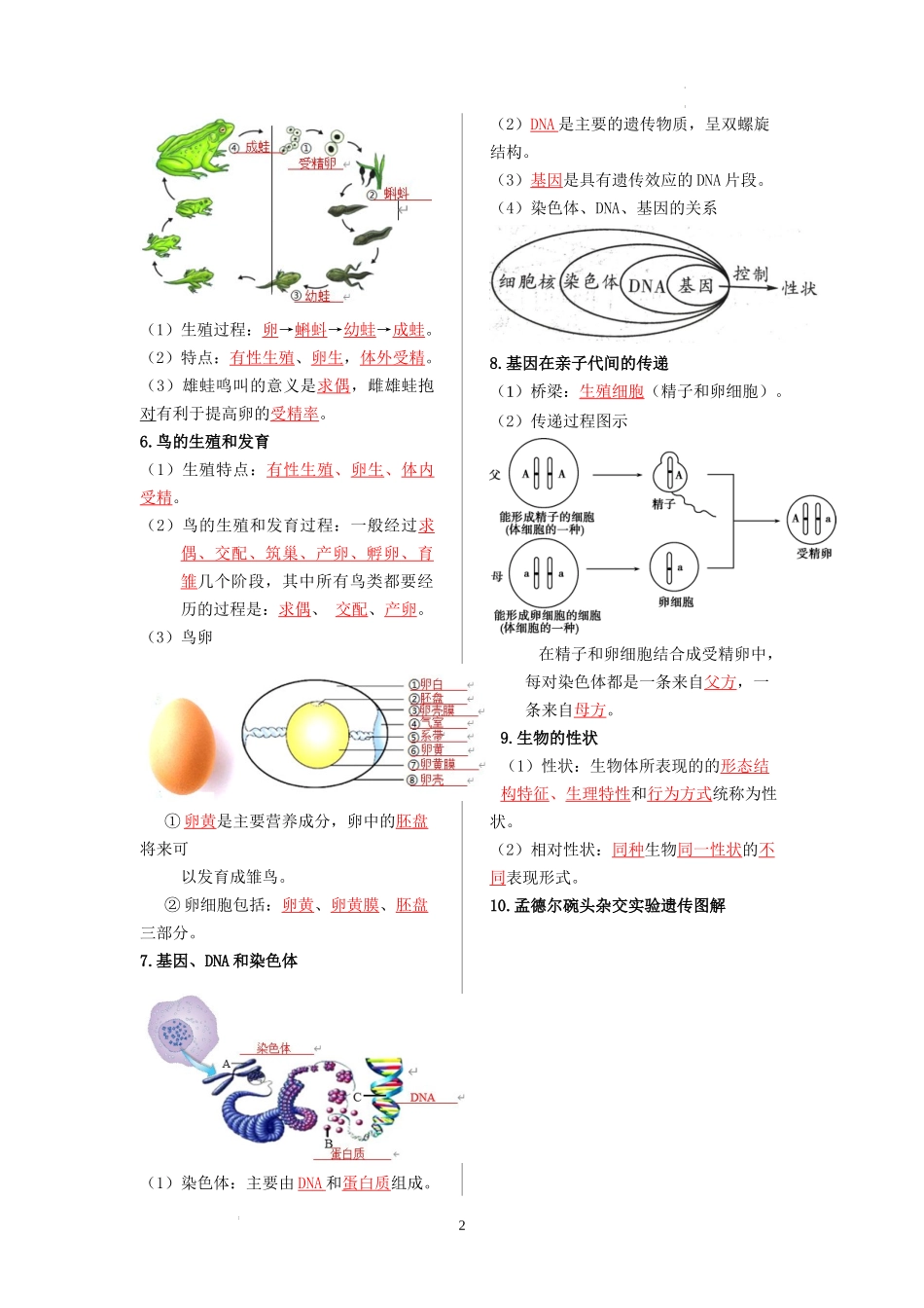 八年级生物下册-【核心记背册】备战2023年中考生物核心考点精华必背 (1).docx_第2页