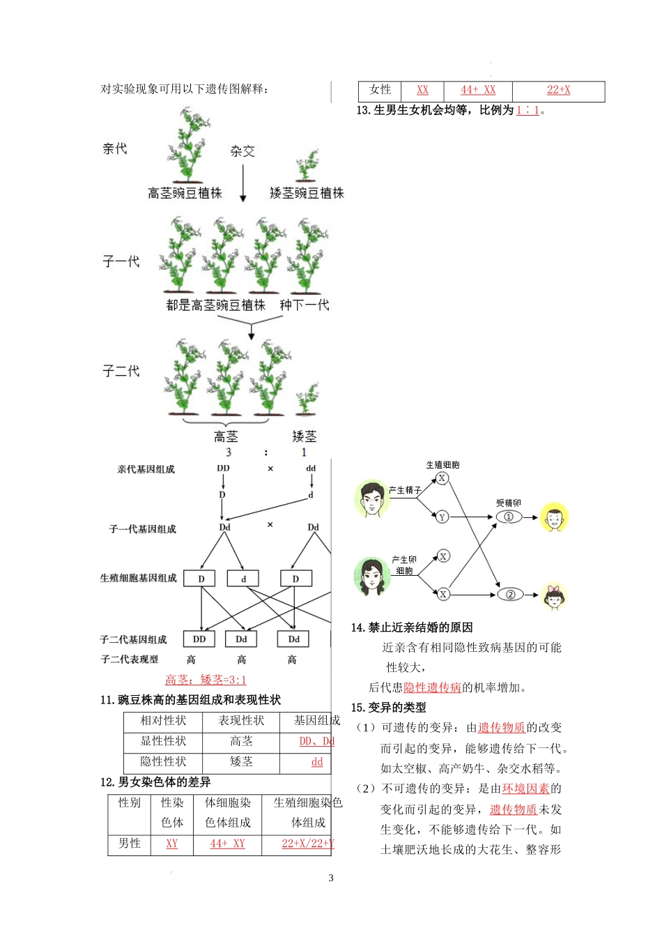 八年级生物下册-【核心记背册】备战2023年中考生物核心考点精华必背 (1).docx_第3页