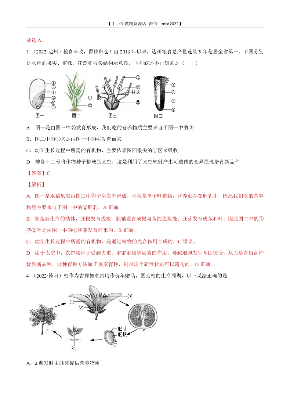专题03 绿色开花植物的一生-2022年中考生物真题分项汇编 （全国通用）（解析版）.pdf_第2页