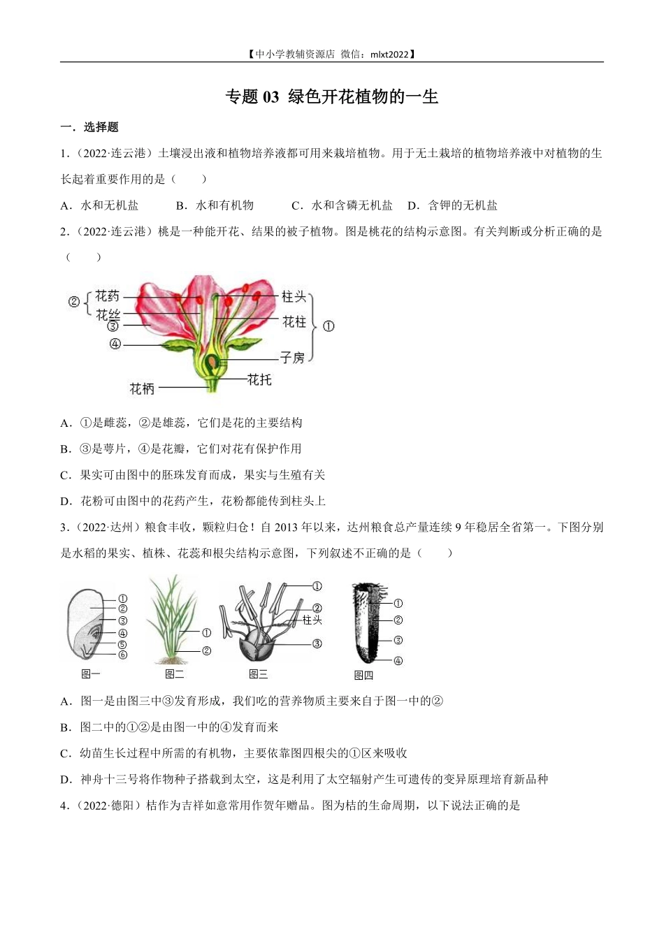 专题03 绿色开花植物的一生-2022年中考生物真题分项汇编 （全国通用）（原卷版）.pdf_第1页