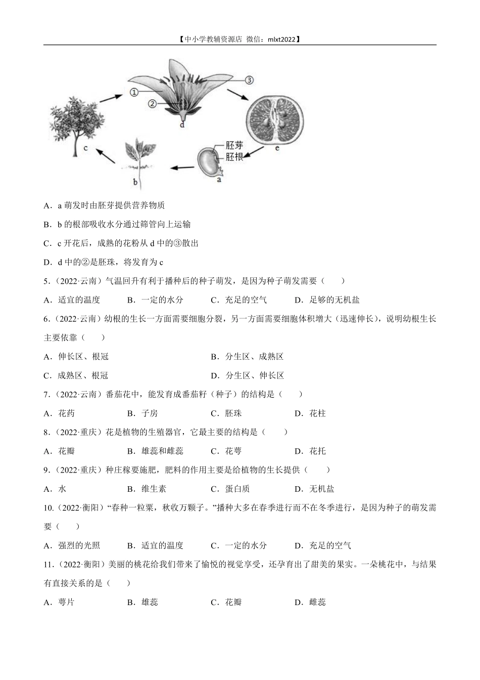 专题03 绿色开花植物的一生-2022年中考生物真题分项汇编 （全国通用）（原卷版）.pdf_第2页
