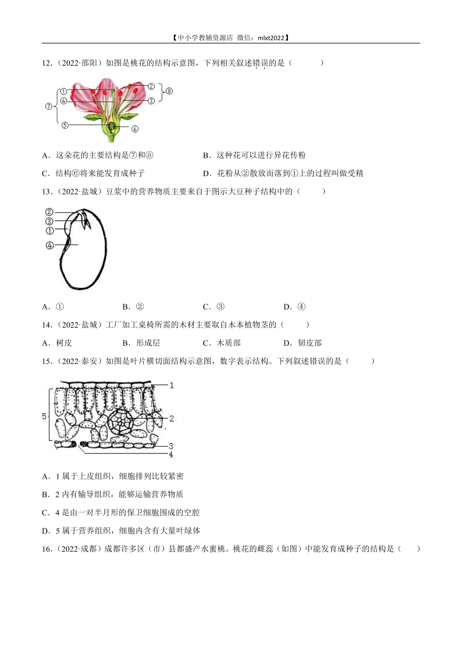 专题03 绿色开花植物的一生-2022年中考生物真题分项汇编 （全国通用）（原卷版）.pdf_第3页
