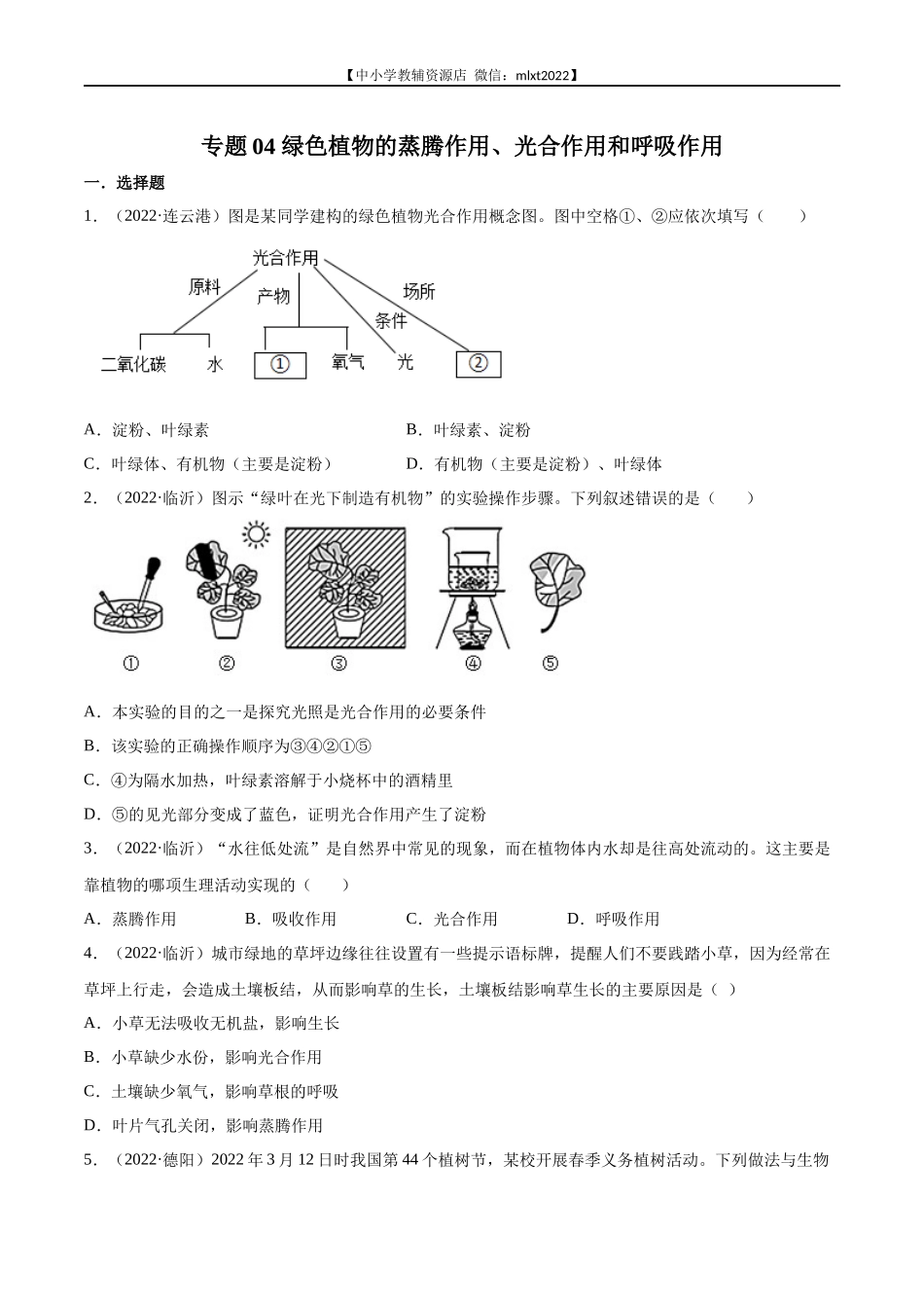 专题04 绿色植物的蒸腾作用、光合作用和呼吸作用-2022年中考生物真题分项汇编 （全国通用）（原卷版）.docx_第1页