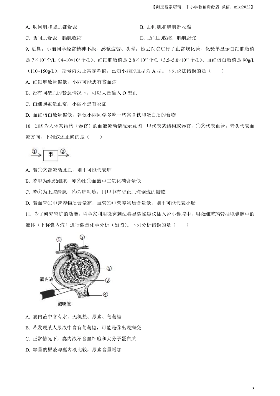 精品解析：2024年山东省聊城市中考生物试题（原卷版）.pdf_第3页