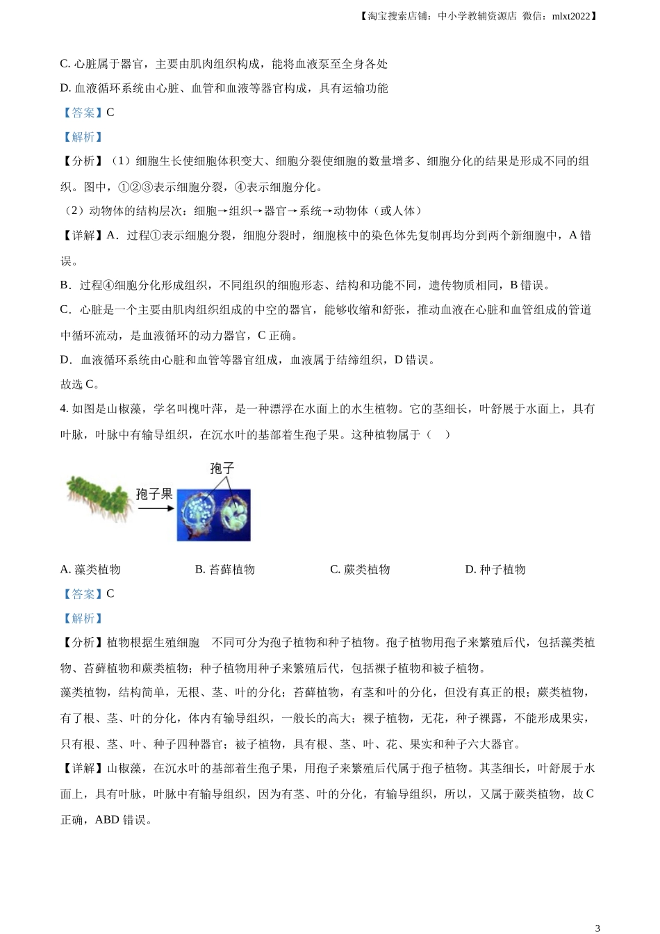 精品解析：2024年山东省泰安市中考生物真题（解析版）.docx_第3页