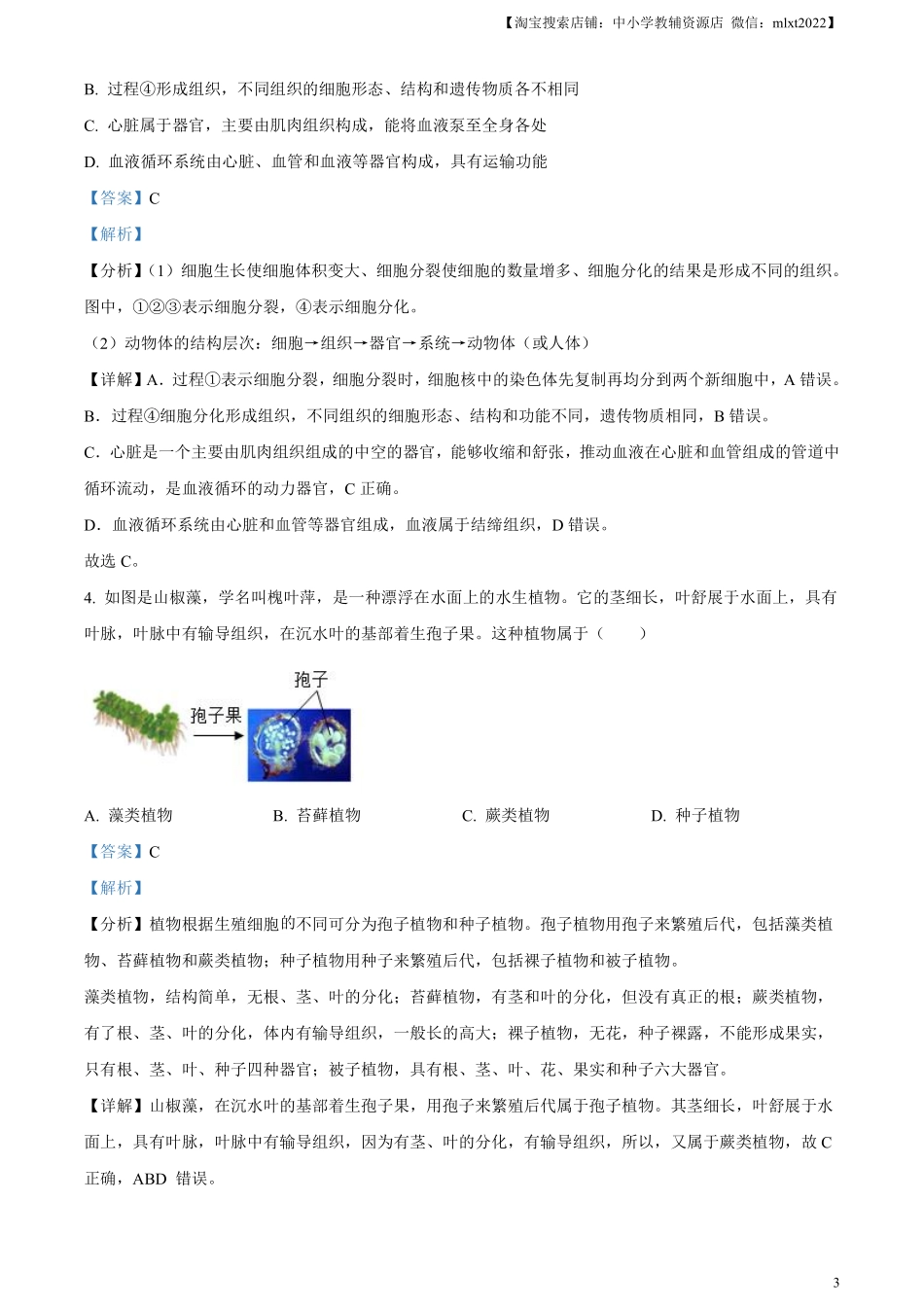 精品解析：2024年山东省泰安市中考生物真题（解析版）.pdf_第3页