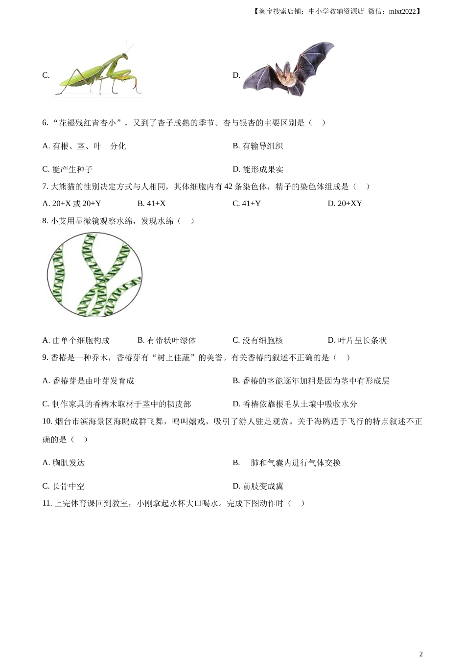 精品解析：2024年山东省烟台市中考生物试题（原卷版）.docx_第2页