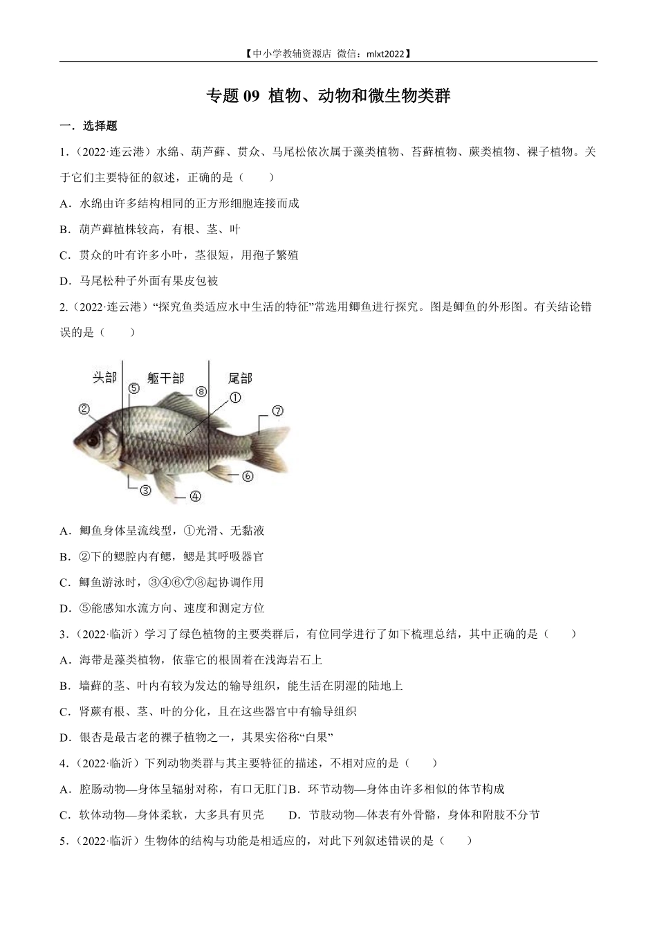 专题09 植物、动物和微生物类群-2022年中考生物真题分项汇编 （全国通用）（原卷版）.pdf_第1页