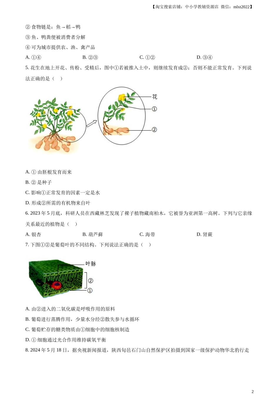 精品解析：2024年陕西省中考生物真题（原卷版）.docx_第2页