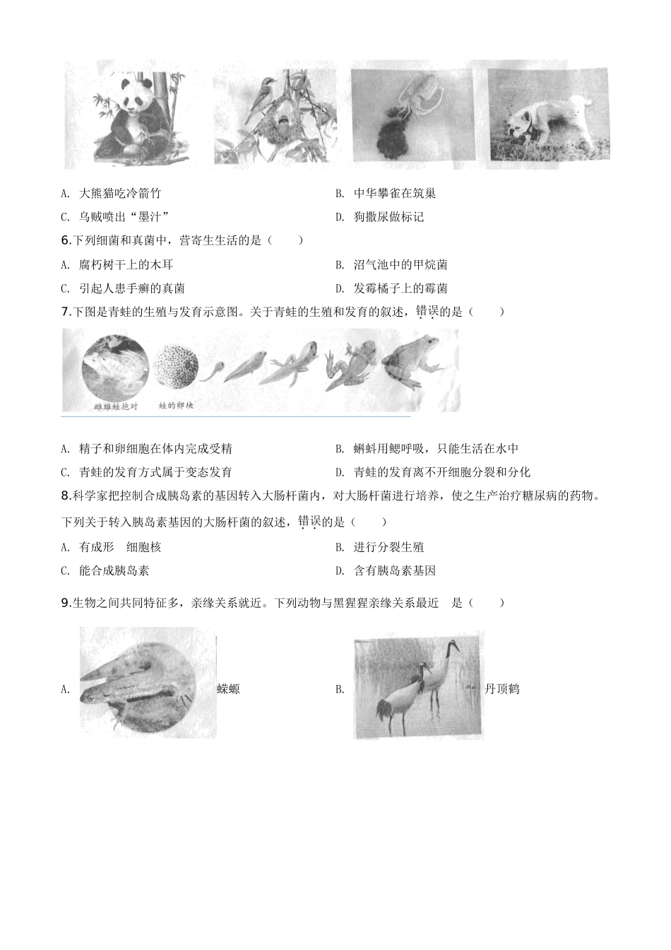 精品解析：安徽省2020年中考试题（原卷版）.doc_第2页