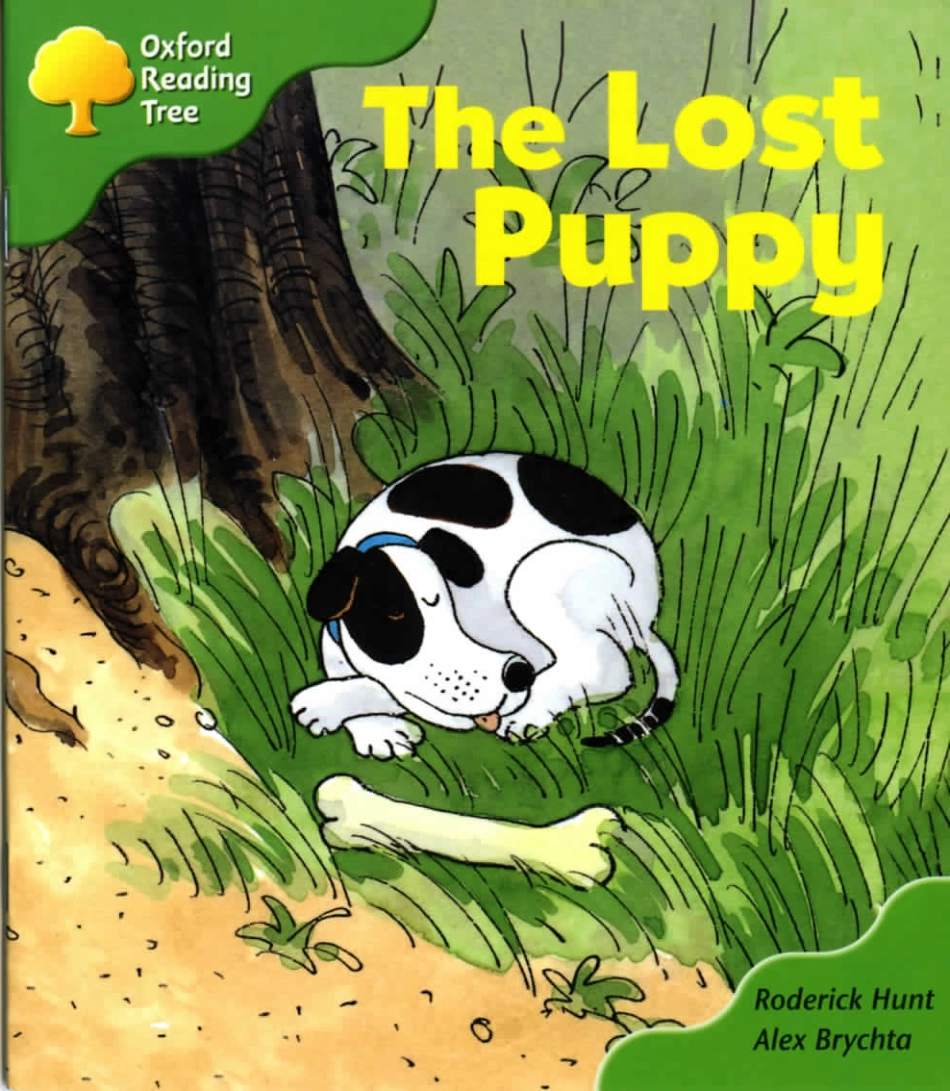 2-32 the Lost Puppy.pdf_第1页