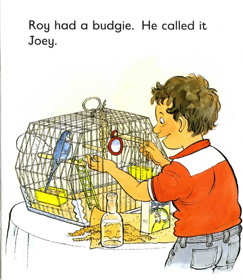 3-27 Roy and the Budgie.pdf_第2页