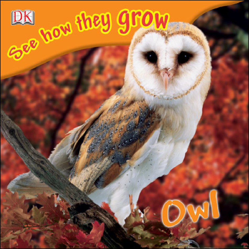 05.See how they grow Owl----------.pdf_第1页