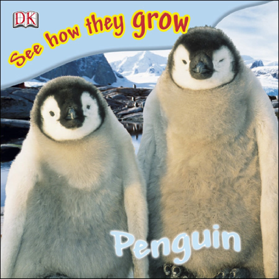 15.DK See  how they grow Penguin.pdf_第1页