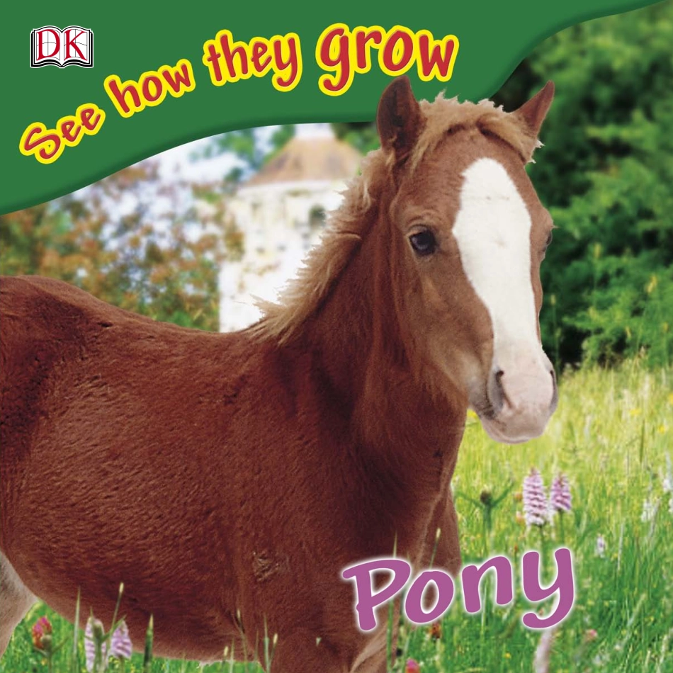 28.See how they grow Pony----------.pdf_第1页