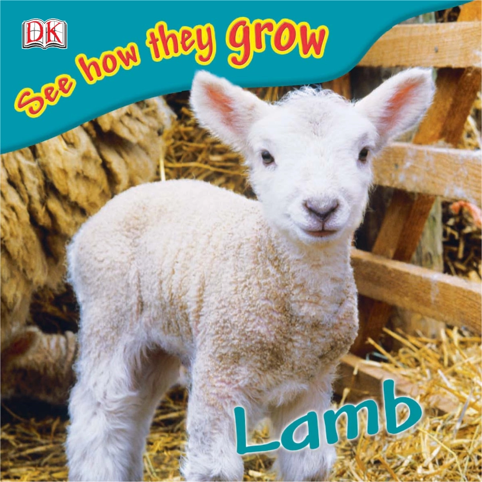 53.DK See  how they grow Lamb----------.pdf_第1页