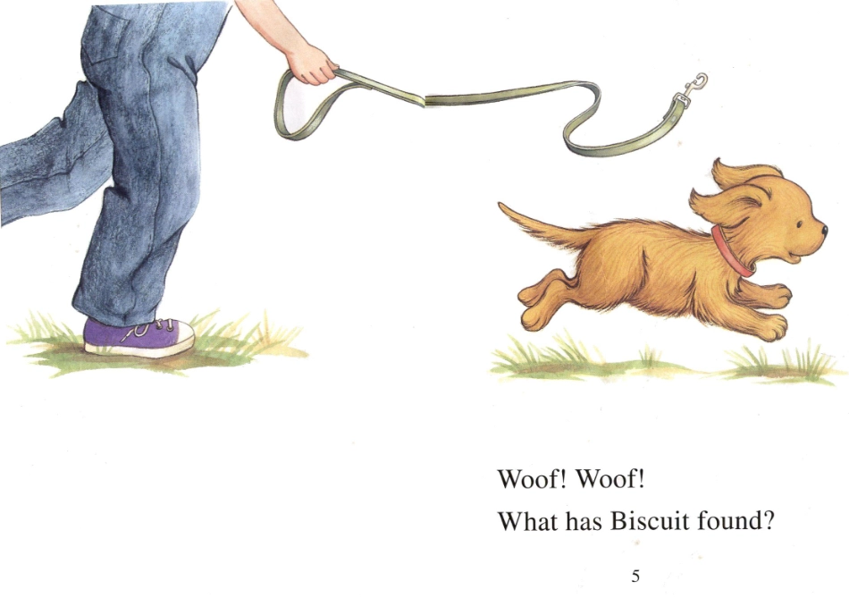 Biscuit Finds a Friend.pdf_第3页