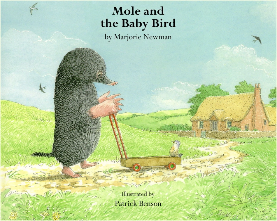 Mole and Baby Bird.pdf_第1页