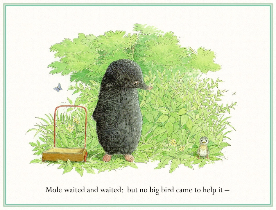 Mole and Baby Bird.pdf_第3页