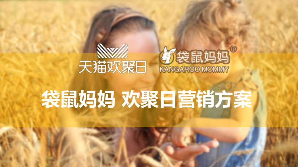 2018袋鼠妈妈天猫欢聚日营销策划方案.pptx_第1页