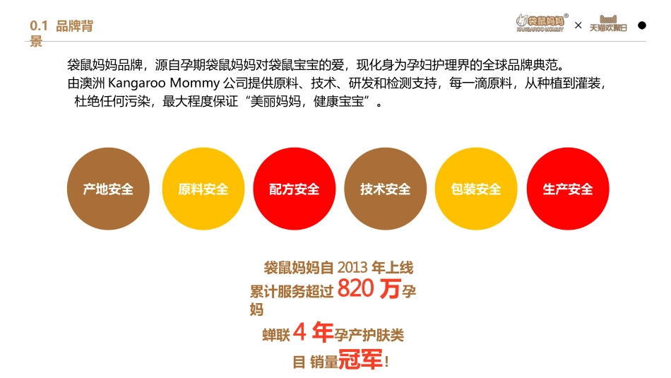2018袋鼠妈妈天猫欢聚日营销策划方案.pptx_第2页